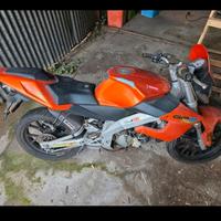 Smembro Derby Gpr 50 nude