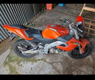 Smembro Derby Gpr 50 nude