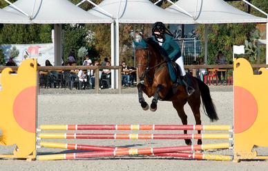 Cavallo per brevetto