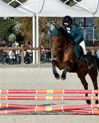Cavallo da brevetto