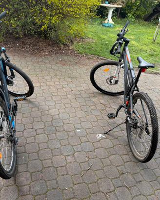 biciclette monta bike