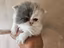 Immagine 6