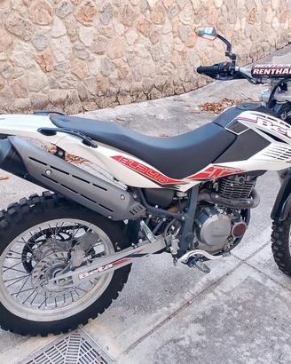 BETA ALP 4.0