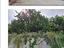 Immagine 8