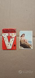 Vademecum 1964