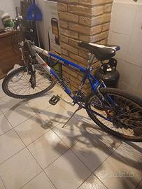 bicicletta in otti