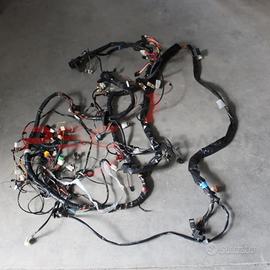 Impianto cablaggio elettrico Nissan Atleon 35.13