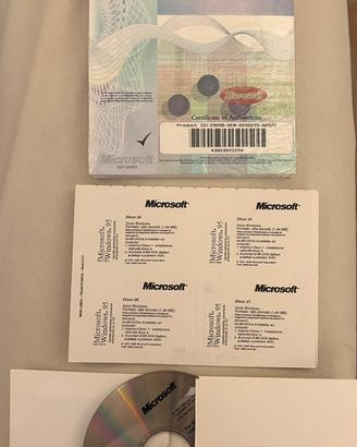 software Windows '95