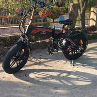 Bici elettrica rd5 250 w