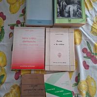 Bignami e libri di studio italiano e latino 