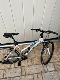 Bici da ragazzo
