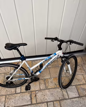 Bici da ragazzo
