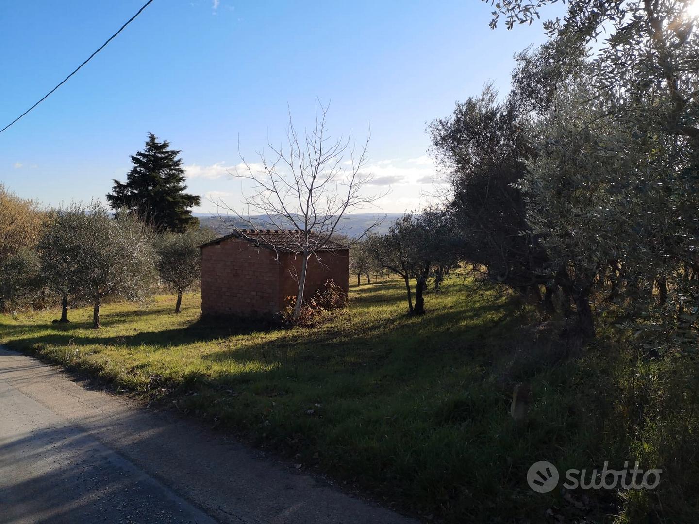 Terreno / Uliveto - CB - ctr/da Colle dell'Orso - View 3