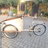 Cargo bike tre ruote