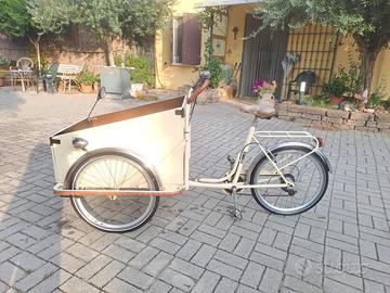 Cargo bike tre ruote