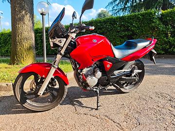 moto in perfette condizioni 