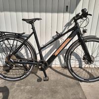 Bicicletta elettrica 