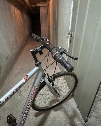 Bici mountain bike