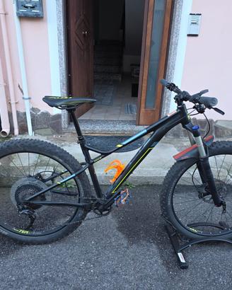 Bici Bighorn 1.3