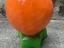 Immagine 3