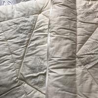 Trapunta 4 stagioni Wenatex