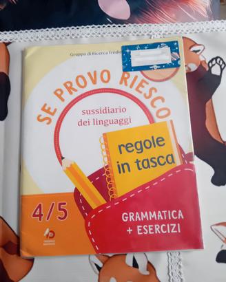 Se provo riesco Sussidiario dei linguaggi 4/5 