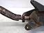 Immagine 9