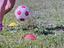 Immagine 4