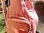 Immagine 6