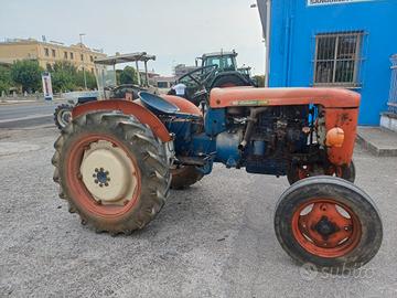 same puledro da vigneto con sollevatore