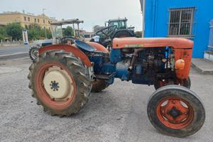 same puledro da vigneto con sollevatore