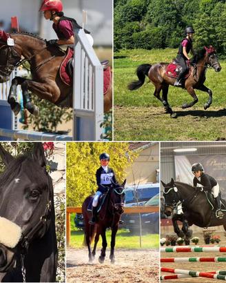 Pony per completo (dressage-salto ostacoli-cross)