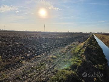 Terreno Agricolo Irriguo 8,5 Ettari Copparo (FE)