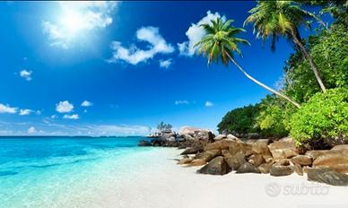 Libertà finanziaria? So come fare