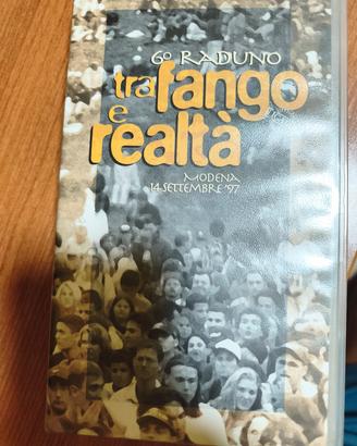 VHS Ligabue "tra fango e realtà"