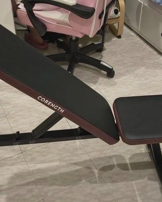 Panca Palestra Corength