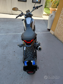 Ducati scrambler