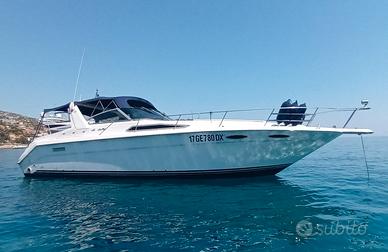 sea ray 350 linea d asse diesel 12 metri