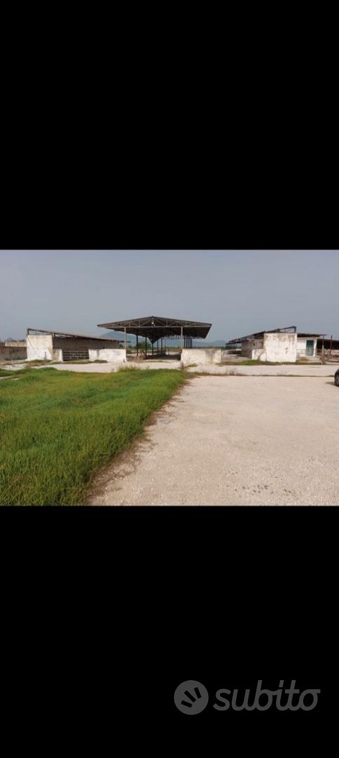 Azienda agricola ex bufalina - Vista 2