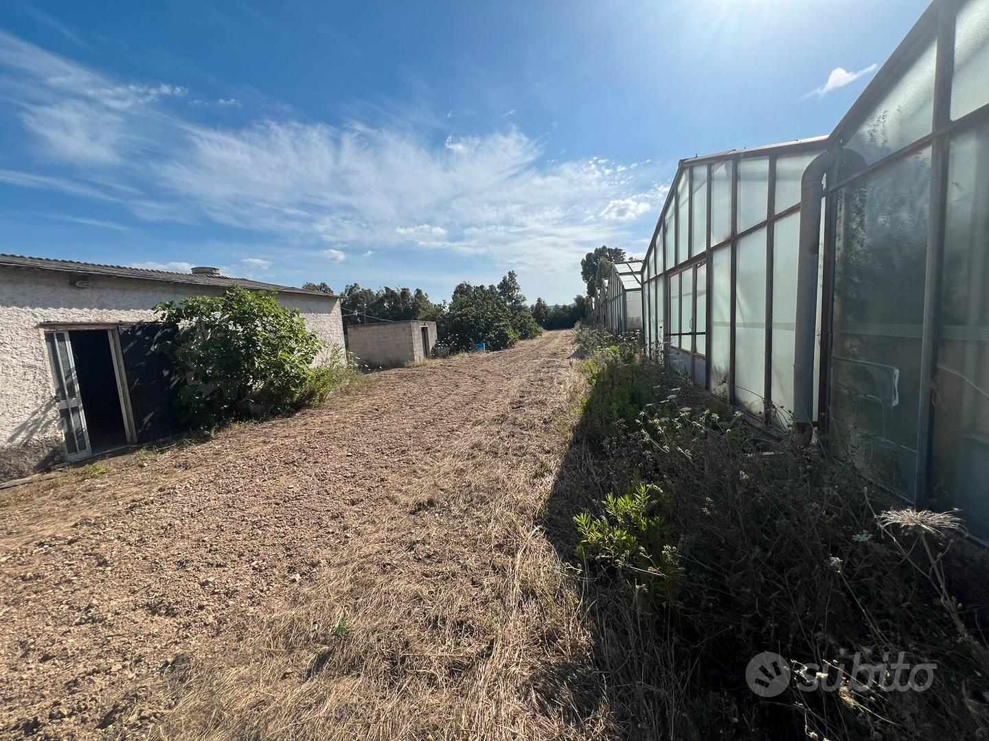 Terreni ex Azienda con fabbricati - Vista 3