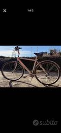 Bici grigia