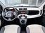 Immagine 6