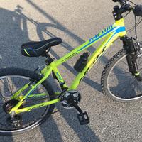 MTB 24