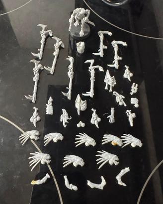 Kroot Carnivori Tau Warhammer 40k Armi Teste Bits