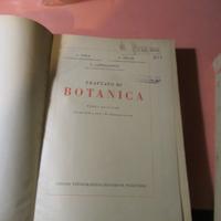 trattato di botanica