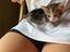 Immagine 1