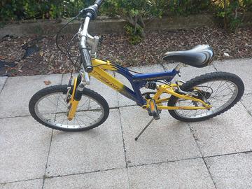 Bici ruota 20 pollici