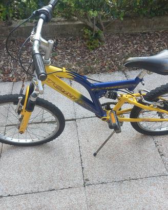 Bici ruota 20 pollici