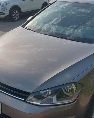 Golf 1.6 TDI 5p. Comfortline BlueMotion Technology