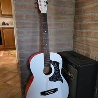 Chitarra Acustica  Amplificabile
